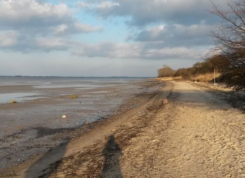 Plaj Fotoğraf