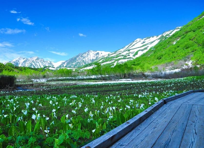 Dış görünüm Fotoğraf