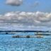 Dış görünüm