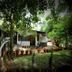 Dış görünüm