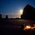 Diğer