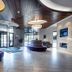 Lobi