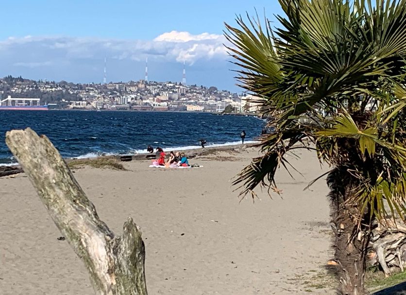 Plaj Fotoğraf