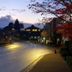 Dış görünüm