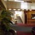 Lobi