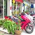 Dış görünüm