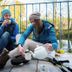 Diğer