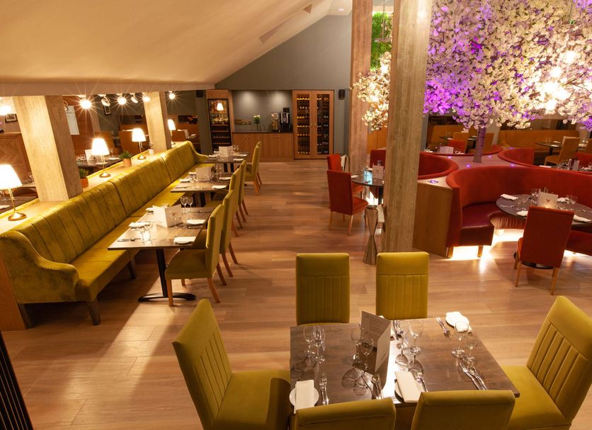 Restoran Fotoğraf